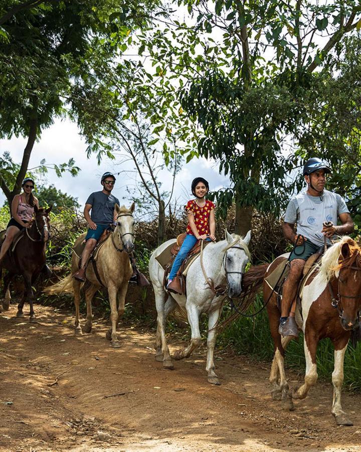 Hotel Fazenda Parque Dos Sonhos Socorro  Kültér fotó