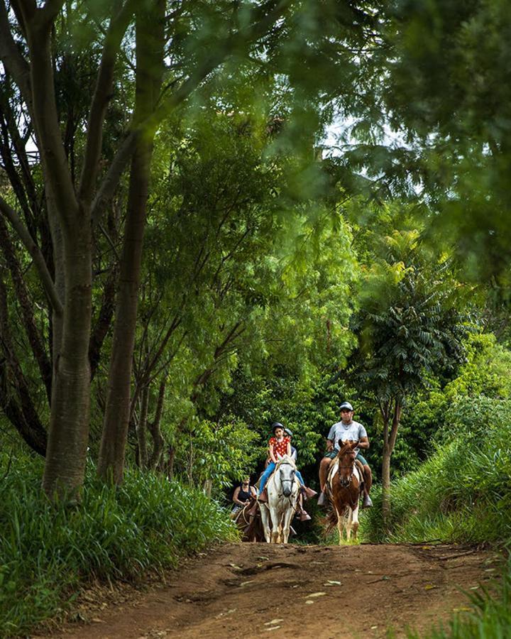 Hotel Fazenda Parque Dos Sonhos Socorro  Kültér fotó